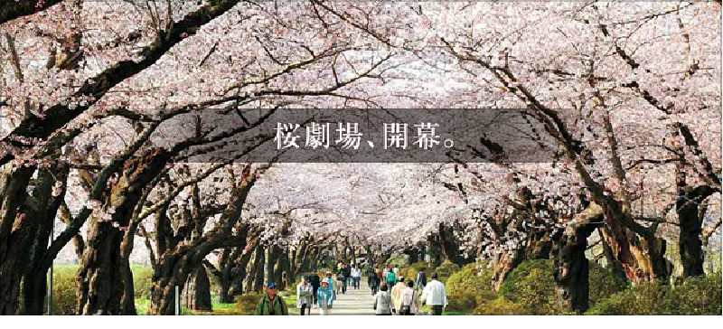 北上展勝地桜まつり2017