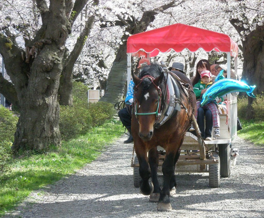 北上展勝地馬車