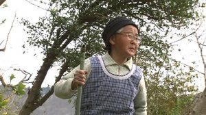 ムツばあさんと秩父山中の場所はどこ？BSプレミアムドキュメンタリーまとめ