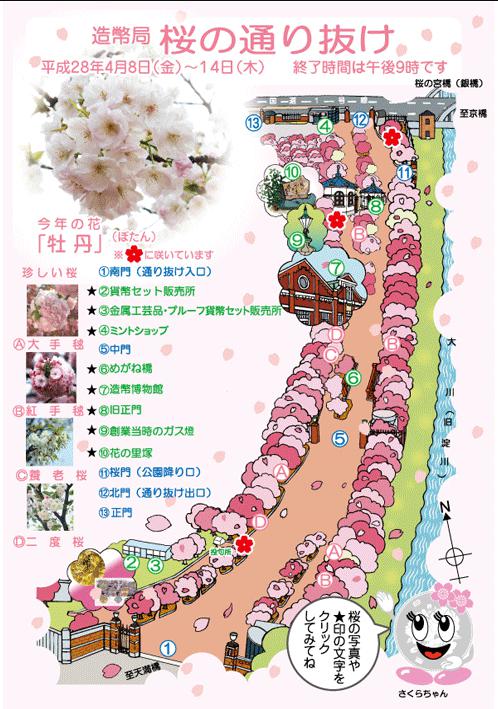 造幣局桜の通り抜けマップ