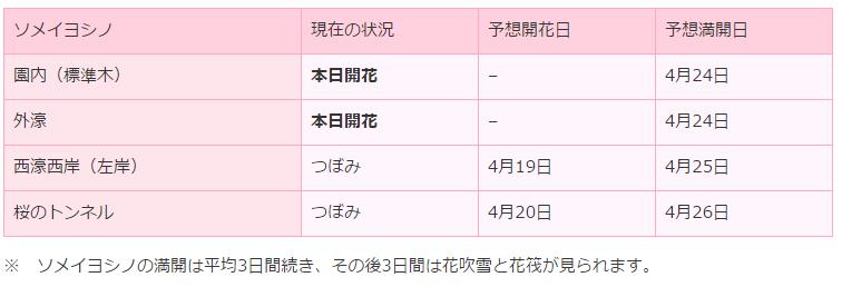 弘前さくら開花状況2017