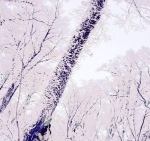 遠藤尚・モーグルの彼女こんたあかり(今田明里)は医者でかわいい!