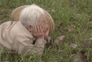 甲斐信枝（絵本作家）のプロフィールは？雑草の素敵な世界がNHKで放送！