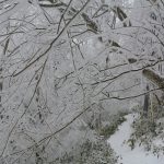 金剛山樹氷