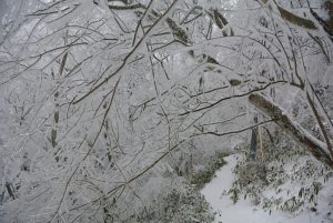 金剛山ライブカメラの場所はどこ？駐車場行き方アクセスと口コミも調査！