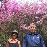 川上さんとつつじ園