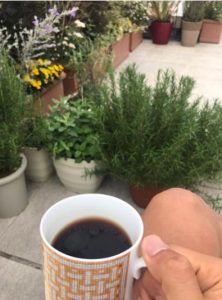 小林麻央さんの鼻チューブと呼吸を楽にするローズマリーについて