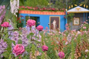 国際バラとガーデニングショウ2019中止の理由は？2018の口コミや振り返りまとめ