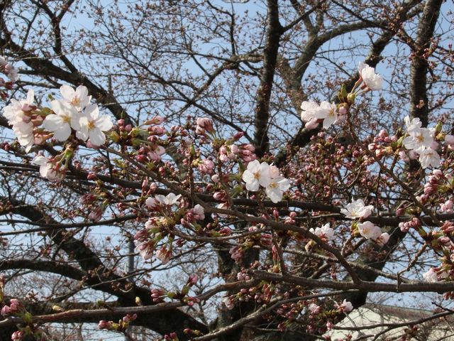 富岡二中02