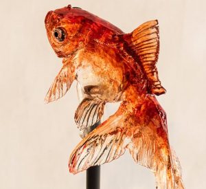 ヤマダ電機CM金魚アメの値段は？買えるお店と通販サイトも調査！