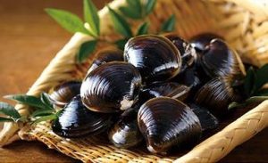 北海道大空町の巨大しじみ通販お取り寄せは出来る？口コミも調査！