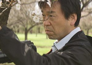 和田博幸・樹木医のwiki風プロフィールは?管理復活させた桜の名所も調査!