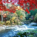 奥津渓の紅葉