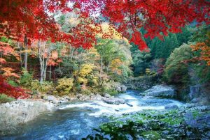 奥津渓の紅葉2022見頃やライトアップは?駐車場と混雑口コミも調査