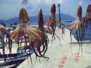 タコ・大あさり(愛知県日間賀島産)お取り寄せ通販サイトまとめ
