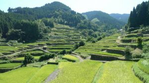 人生の楽園に福岡のうきは市が！フルーツ狩りや温泉について調査！