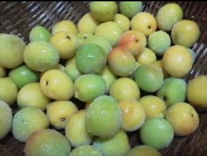 森の国の宿あざみ野・愛媛県松野町の宿泊や体験料は？南高梅の通販もある？