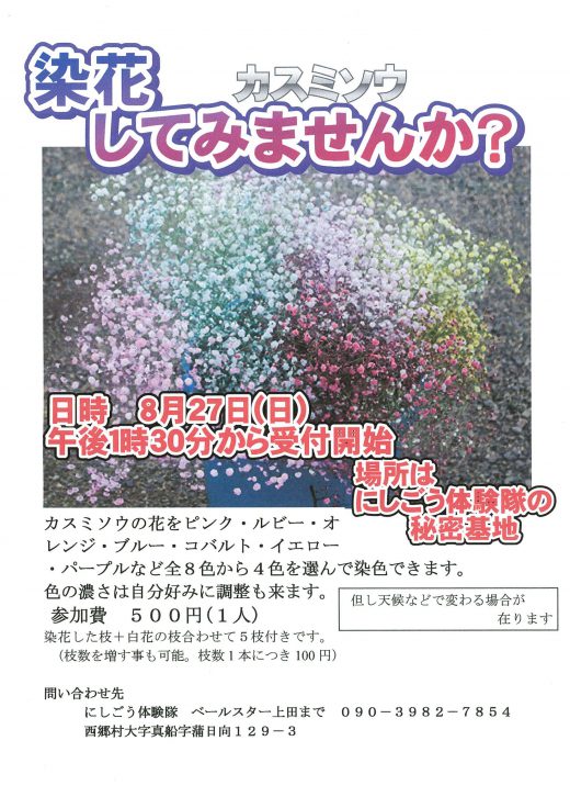 カスミソウ染め体験