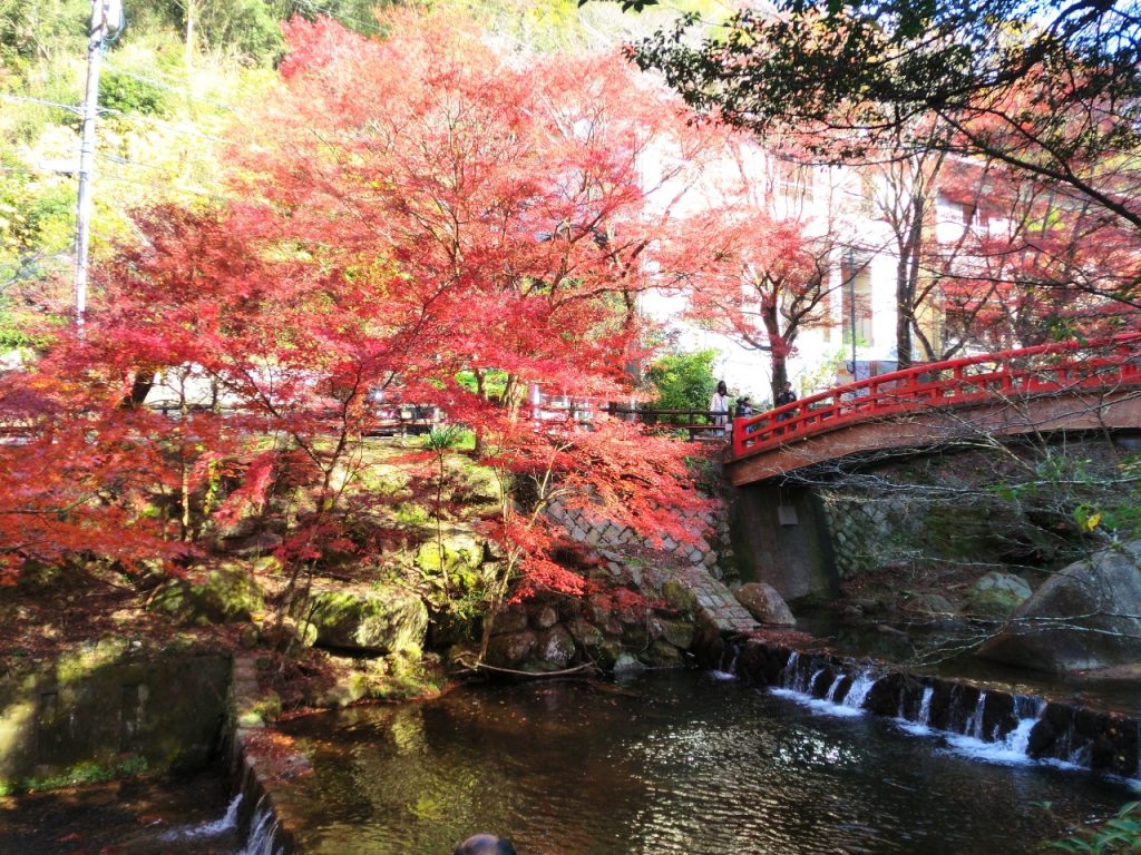 岩屋堂公園 紅葉2