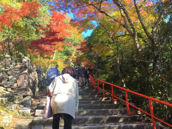 永源寺 階段