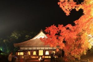 岡山閑谷学校2022紅葉見頃とライトアップは？アクセスや口コミも調査