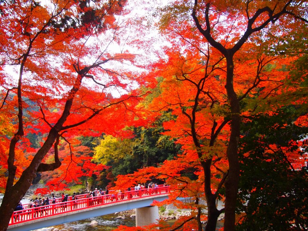 香嵐渓 もみじ橋