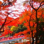 香嵐渓 もみじ橋