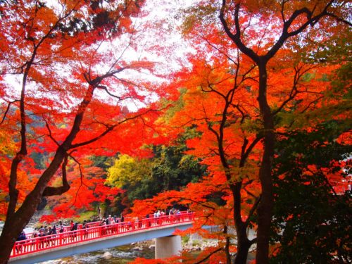 香嵐渓 もみじ橋