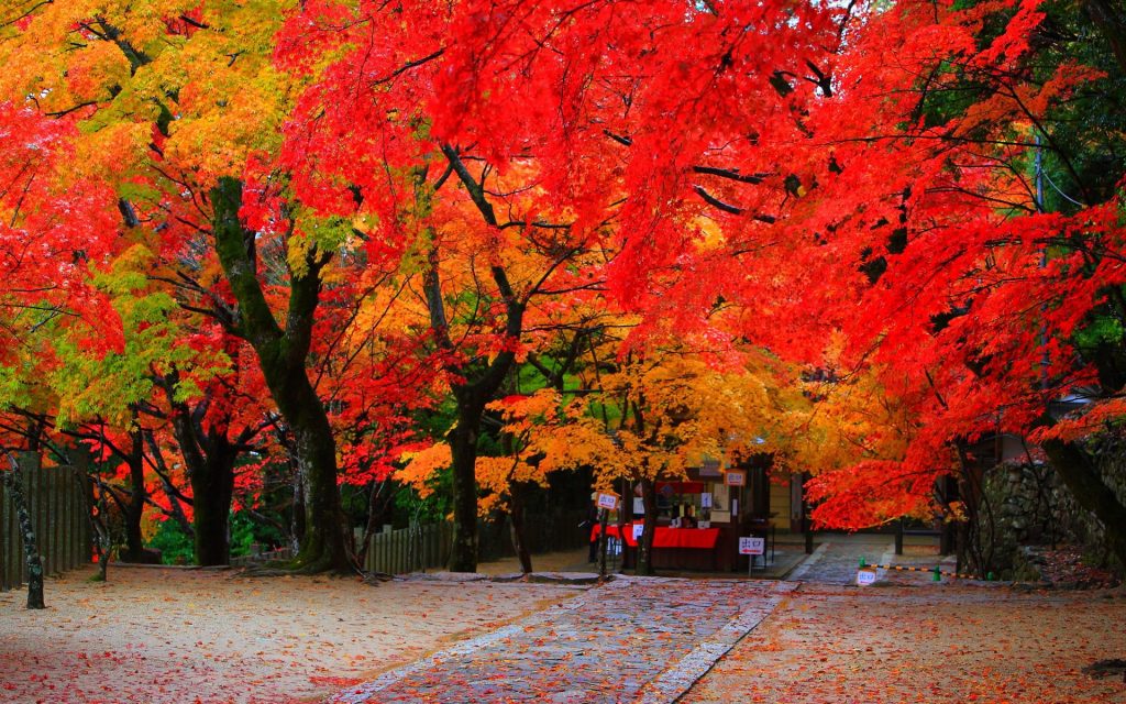 永源寺 総門