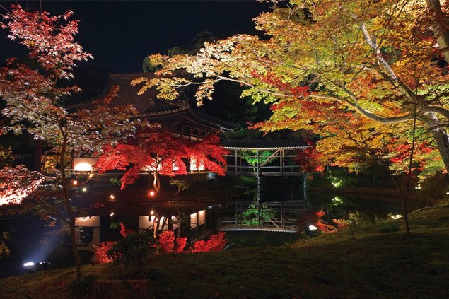 高台寺紅葉のライトアップ2018の日程と拝観券は?混雑や口コミも調査!