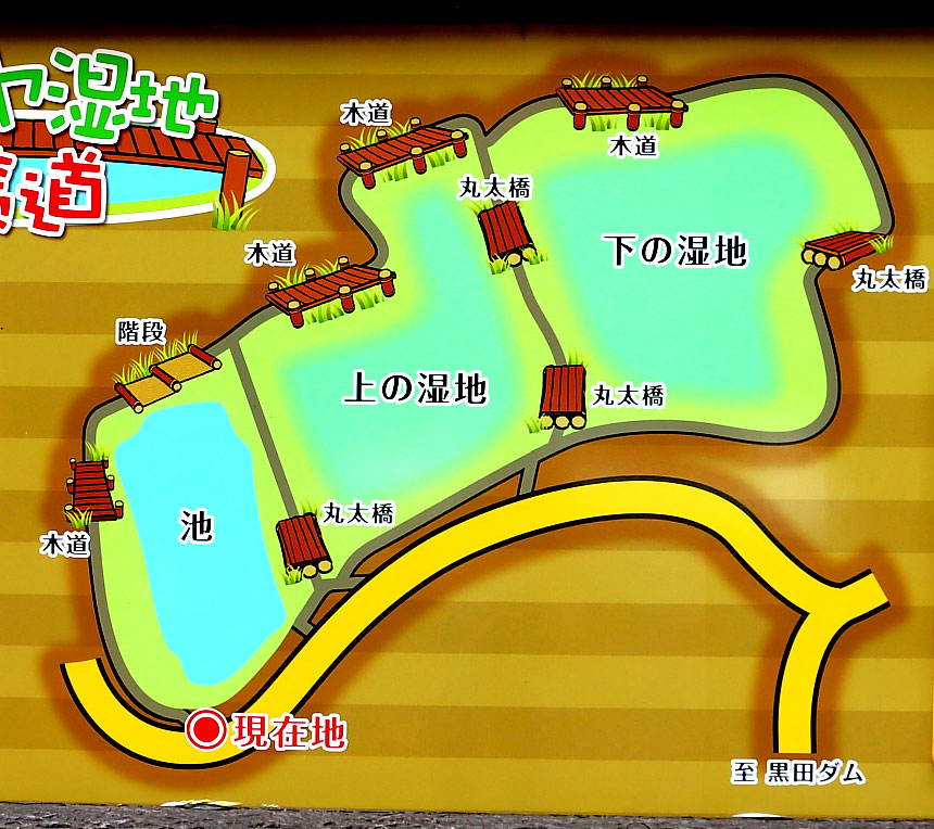 タカドヤ マップ
