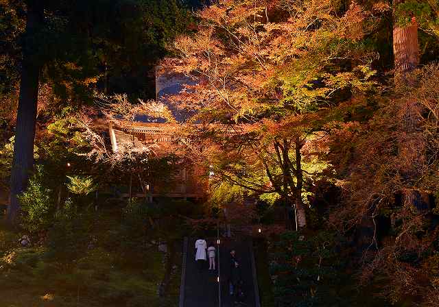 萬徳寺 ライトアップ