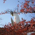 万博公園紅葉画像