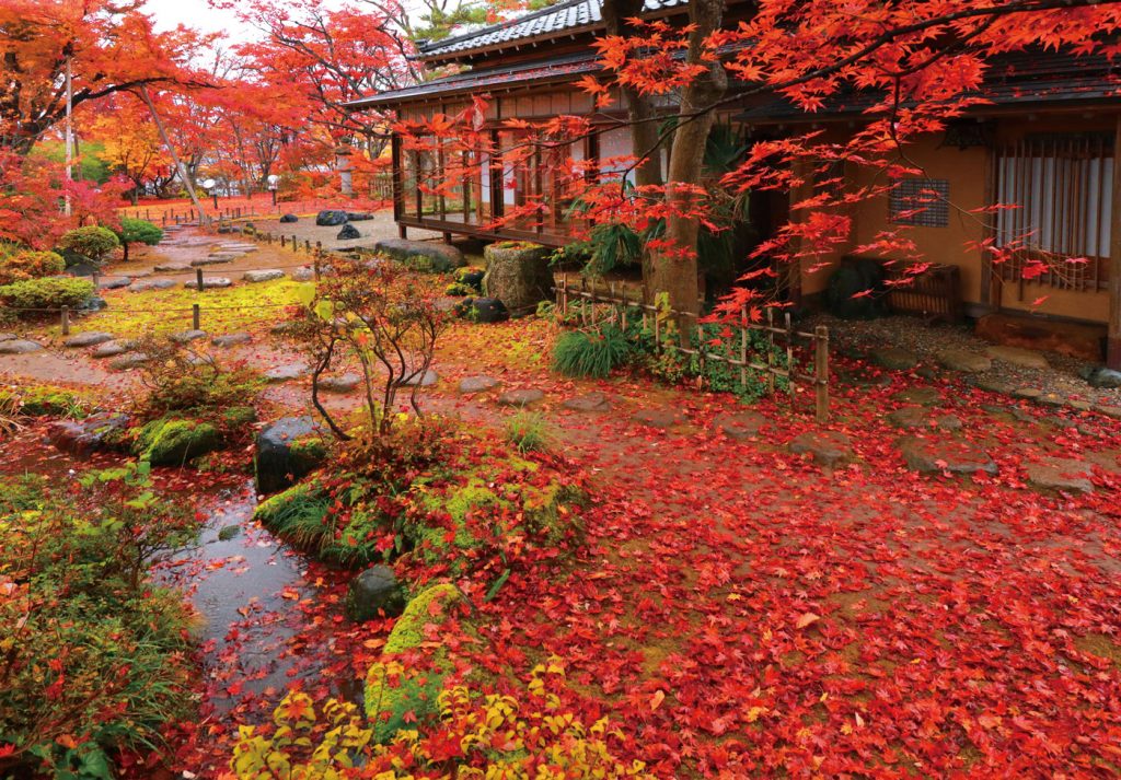 もみじ園 巴ヶ丘山荘2