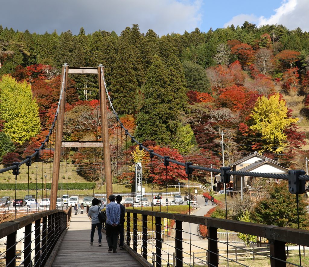 大井平公園 橋