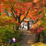 西山公園 紅葉