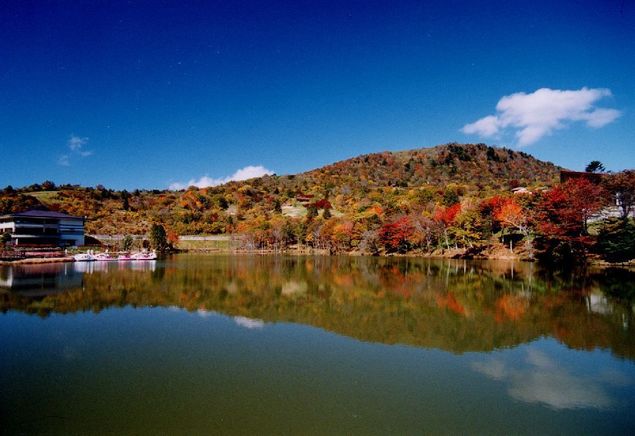 茶臼山紅葉19見頃のピークとライトアップは 渋滞回避ルートは大丈夫