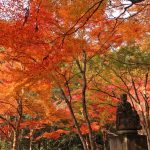 佛通寺TOP