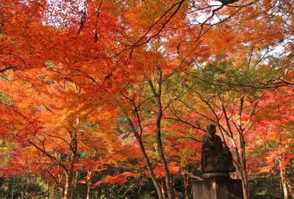 佛通寺の紅葉2018の見頃とライトアップは?駐車場と口コミも調査