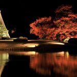 六義園 ライトアップ2