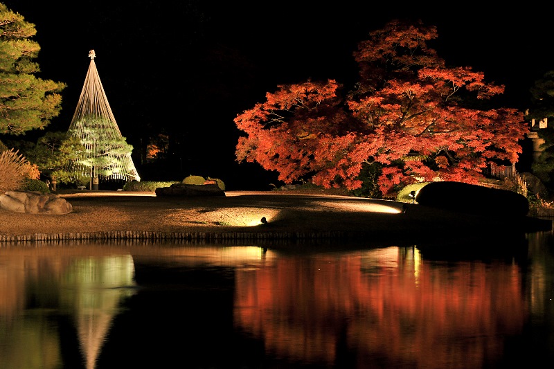 六義園 ライトアップ2