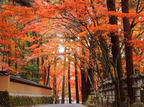佛通寺