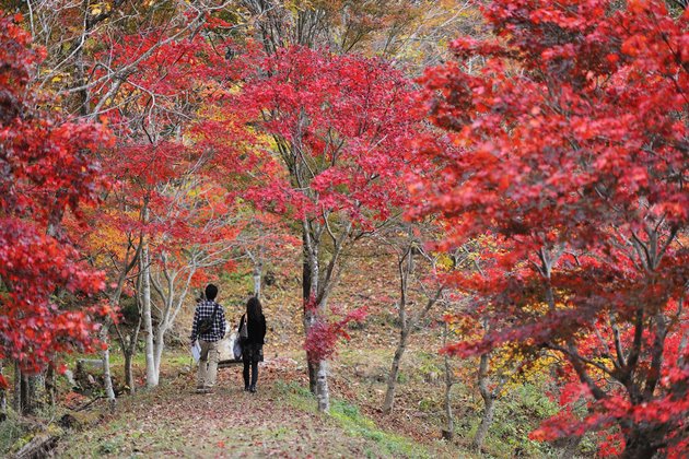 タカドヤ　遊歩道