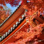 牛滝山大威徳寺紅葉