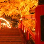 河鹿橋紅葉