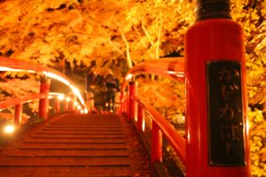 河鹿橋紅葉のライトアップ2022の期間と時間は?駐車場や口コミも調査