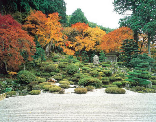 萬徳寺 紅葉 庭
