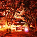 高源寺