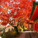 耕三寺