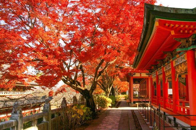 耕三寺